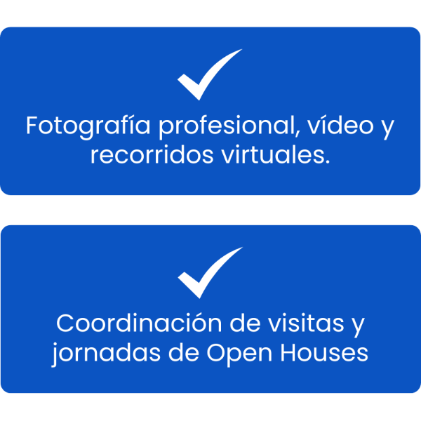 Nuestros servicios principales para Vendedores en Holland Michigan