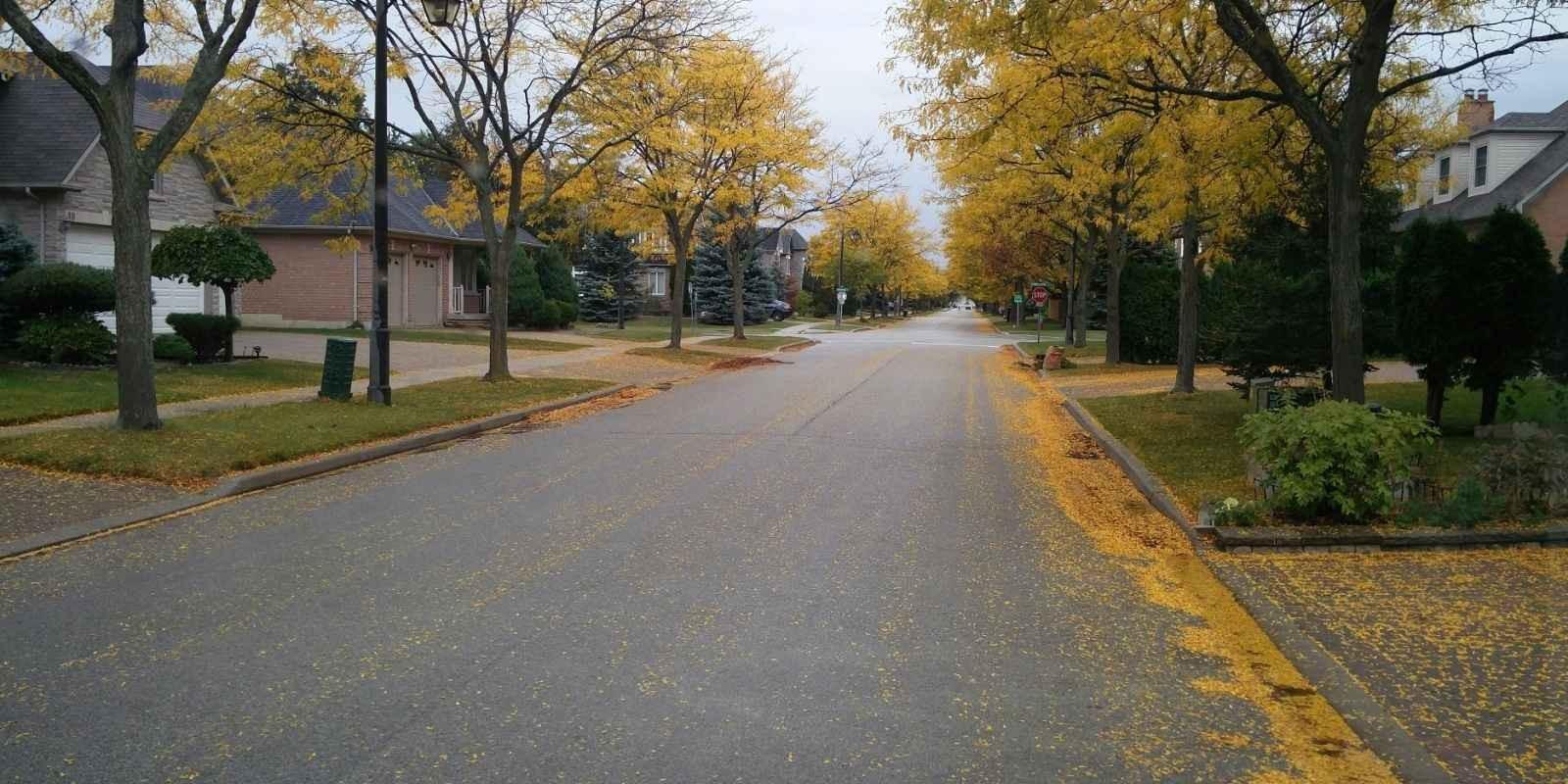 ¿Qué tan segura es Zeeland, Michigan para vivir?